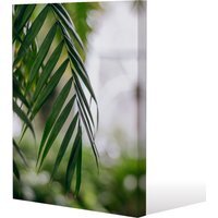 Closeup of green palm leaf Canvas Print - Green / 91cm / 61cm - image 1