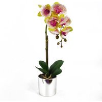 Artificial Orchid Harlequin Pink with Silver Pot - Harlequin Pink Silver