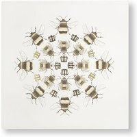 Art for the Home Beautiful Bees Printed Canvas - Cream