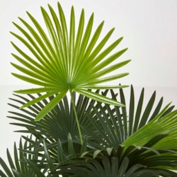 Homescapes Green 'Lady Palm' Tree Artificial Rhapis Plant with Pot, 90 cm - Green - thumbnail 5