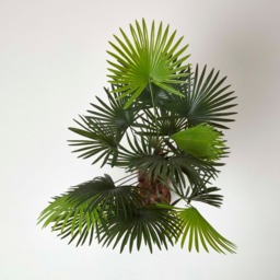 Homescapes Green 'Lady Palm' Tree Artificial Rhapis Plant with Pot, 90 cm - Green - thumbnail 3
