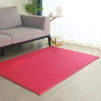 Minimalist Cosy Flannel Rug - Hot Pink