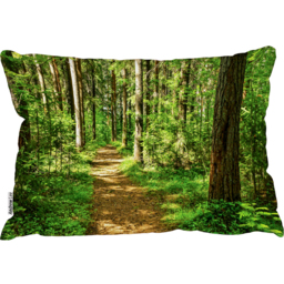 Forest Trail Scene. Woodland Path Cushion - Green - thumbnail 2