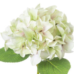 Vintage Floral Accent Rustic Charm Single Hydrangea  - Green - thumbnail 3
