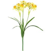 Essential Yellow Daffodil Plant 2 Pack - Yellow