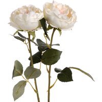Blush Garden Rose - Pink - thumbnail 1