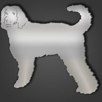 Labradoodle Style 4 Silver Acrylic Mirror - Silver / Extra Large
