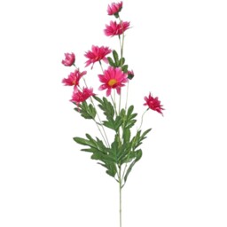 Artificial Silk Wild Daisy Spray 84cm - Cerise - thumbnail 2