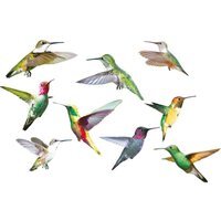 Set of 9 Hummingbird Decorative Stickers - Colourful - image 1