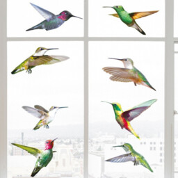 Set of 9 Hummingbird Decorative Stickers - Colourful - thumbnail 3