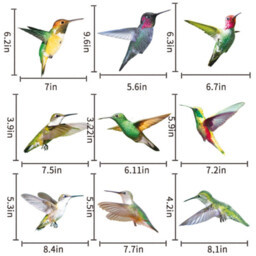 Set of 9 Hummingbird Decorative Stickers - Colourful - thumbnail 2