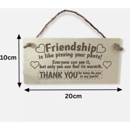Wooden Friendship Plaque Sign - Light Brown - thumbnail 4