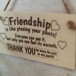 Wooden Friendship Plaque Sign - Light Brown - thumbnail 2