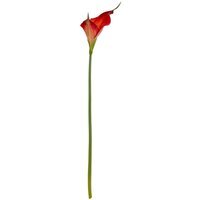 Fireball Calla Lily Artificial Silk Stems Set of 3 - Red