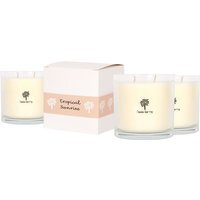 Soy Wax Scented Candles - 400g - Pack of 3 - Tropical Sunrise