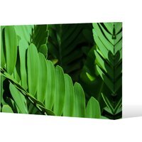 Natural dark green leaves, long slender green leaves Canvas Print - Green / 51cm / 77cm - image 1