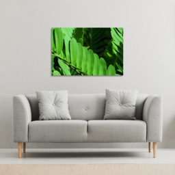 Natural dark green leaves, long slender green leaves Canvas Print - Green / 51cm / 77cm - thumbnail 2