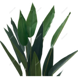 Artificial Plants Fake Tropical Tree with Pot - Green / 180cm - thumbnail 3