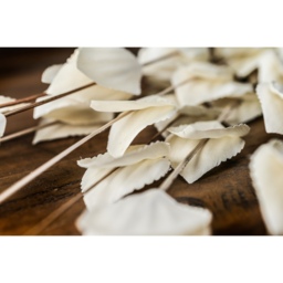 Bouquet Of Dried Thlaspi Arvense Natural Filler - White - thumbnail 4
