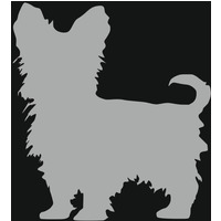 Yorkshire Terrier Style 4 Silver Acrylic Mirror - Silver / Medium