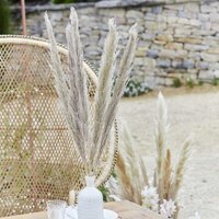 Natural Pampas Grass Stems 5 Pack - Beige