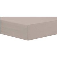 Basics Fitted Sheet - Natural / Small Single