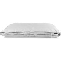Homescapes Super Microfibre Damask Pillow - White