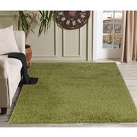 Desire Rugs Plain Living Room Fluffy Shaggy Area Rugs - Green / 60x110