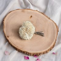 Artificial Pom Pom Bunch 22 cm - Cream - image 1