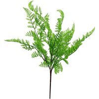 Southern Wooded Fern Bush Dark Green Plant - Southern Wood Fern Bush Dark Green Plant