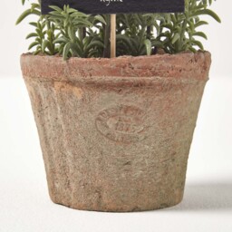 Homescapes Artificial Thyme Plant in Decorative Pot - Green - thumbnail 3