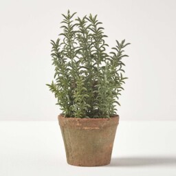 Homescapes Artificial Thyme Plant in Decorative Pot - Green - thumbnail 4