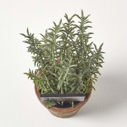 Homescapes Artificial Thyme Plant in Decorative Pot - Green - thumbnail 2