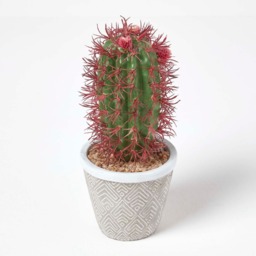 Homescapes Denmoza Artificial Cactus with Flowers in Patterned Pot, 25 cm Tall - Green - thumbnail 2