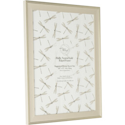 Hallie Neutral Gold Edged Frame - Neutral / 16 x 12in - thumbnail 2