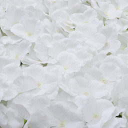 2PCS Artificial Flowers Wall Panel Silk Rose for Backdrop Wedding Decoration - White - thumbnail 4