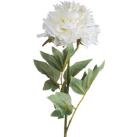 Classic White Peony Extra Long Stem - White - image 1