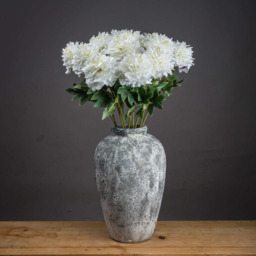 Classic White Peony Extra Long Stem - White - thumbnail 3