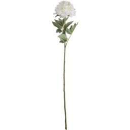 Classic White Peony Extra Long Stem - White - thumbnail 2