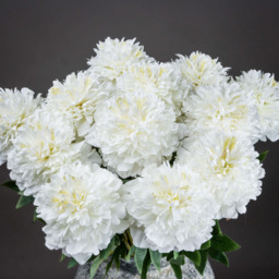 Classic White Peony Extra Long Stem - White - thumbnail 4