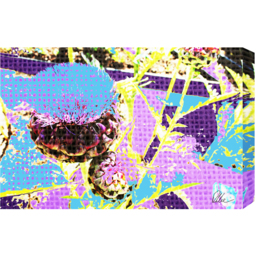 Flower Afro Plants Art Print Wrapped on Canvas - Blue / 152cm - thumbnail 2