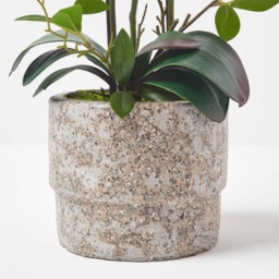 Homescapes Large 64cm Lifelike Pink Artificial Orchid in Grey Cement Pot - Pink - thumbnail 5
