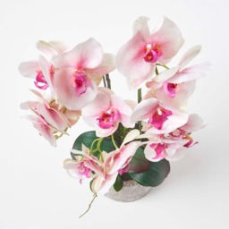 Homescapes Large 64cm Lifelike Pink Artificial Orchid in Grey Cement Pot - Pink - thumbnail 4
