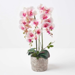 Homescapes Large 64cm Lifelike Pink Artificial Orchid in Grey Cement Pot - Pink - thumbnail 3