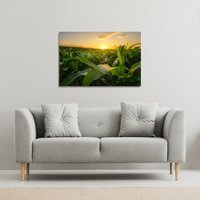 field at sunset Canvas Print Canvas Print - Green / 41cm / 31cm