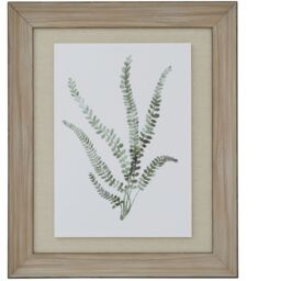 Delicate Fern Watercolor In Rustic Wood Frame - Brown - thumbnail 3