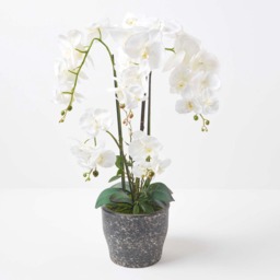 Homescapes Extra Large 82cm Lifelike Artificial White Orchid in Grey Ceramic Pot - White - thumbnail 2