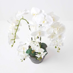 Homescapes Extra Large 82cm Lifelike Artificial White Orchid in Grey Ceramic Pot - White - thumbnail 3