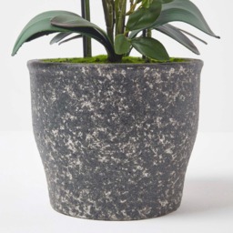 Homescapes Extra Large 82cm Lifelike Artificial White Orchid in Grey Ceramic Pot - White - thumbnail 4