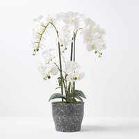 Homescapes Extra Large 82cm Lifelike Artificial White Orchid in Grey Ceramic Pot - White